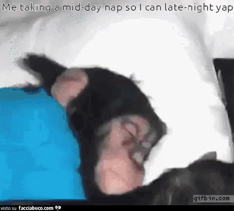 gif animata