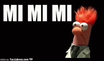 gif animata