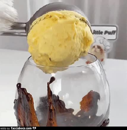 gif animata
