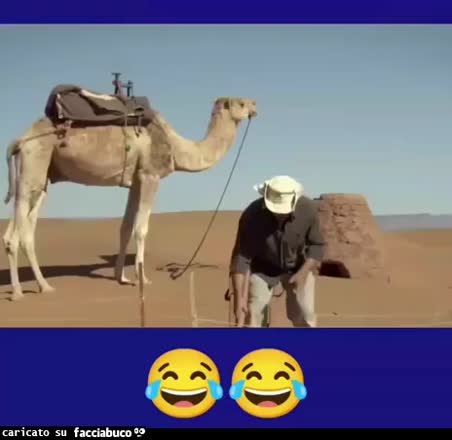 Gif Animata