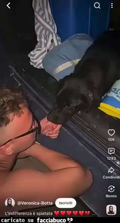 Gif Animata