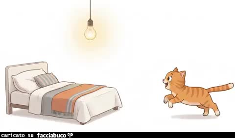 Gif Animata