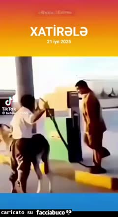 Gif Animata