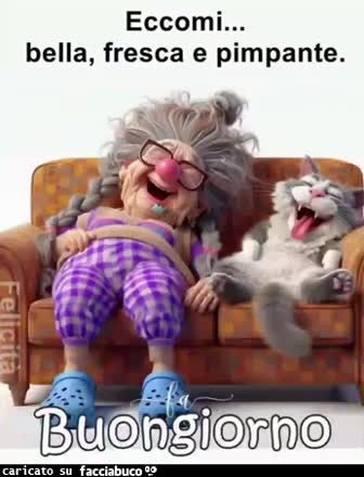 Gif Animata