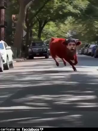 Gif Animata