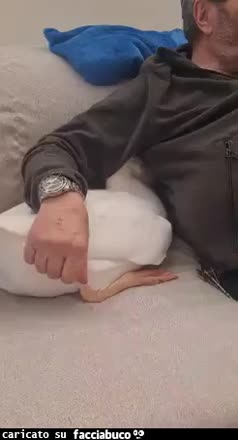 Gif Animata