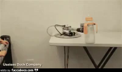gif animata