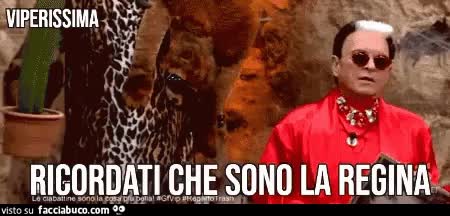 gif animata