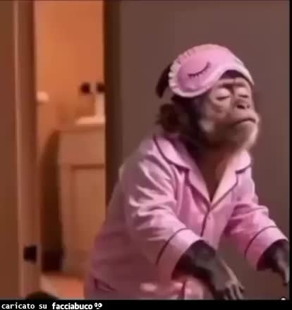 gif animata