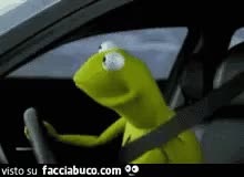 gif animata
