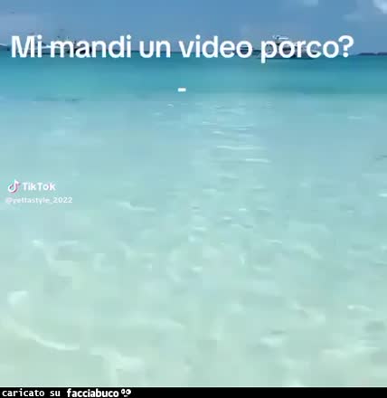 gif animata
