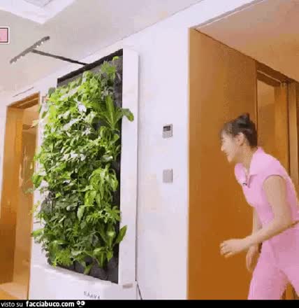 gif animata