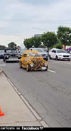 Gif Animata