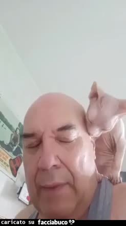 Gif Animata