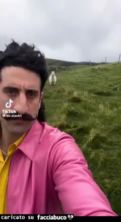 gif animata