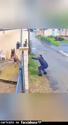 Gif Animata