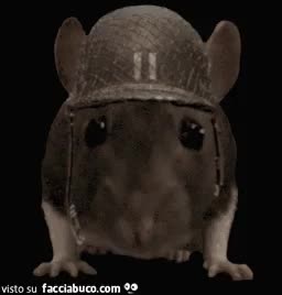 gif animata