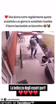 Gif Animata