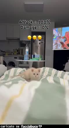Gif Animata