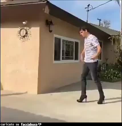 gif animata