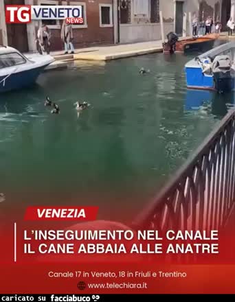 Canal grande