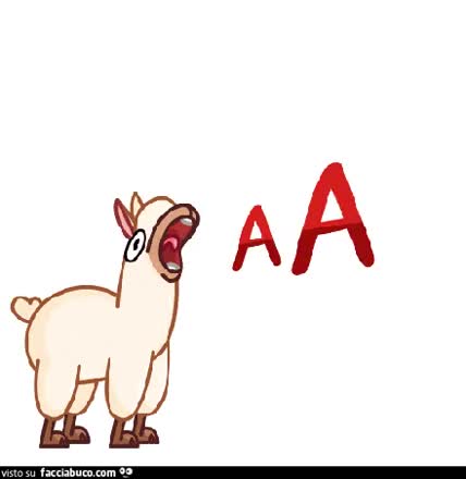 gif animata