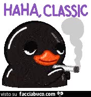 gif animata