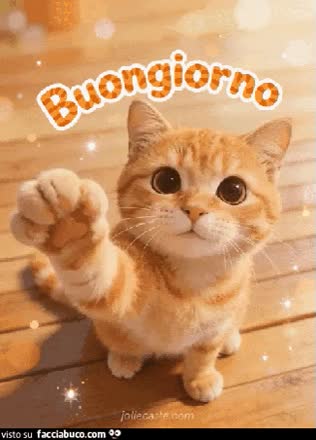 gif animata