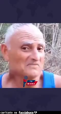 gif animata