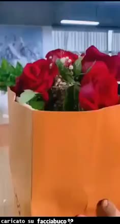 Gif Animata