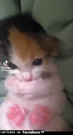 gif animata