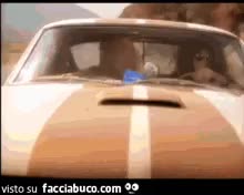gif animata