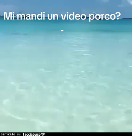 Gif Animata