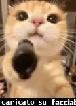 gif animata
