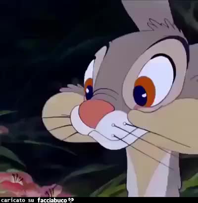 gif animata