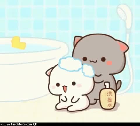gif animata