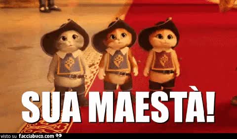 gif animata