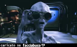 gif animata