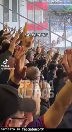 Gif Animata