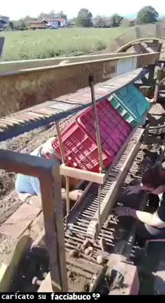 Gif Animata