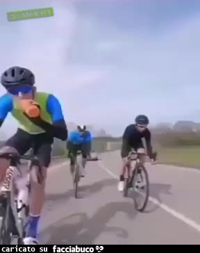 Gif Animata