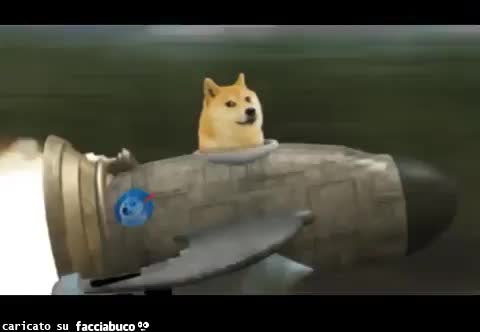 gif animata