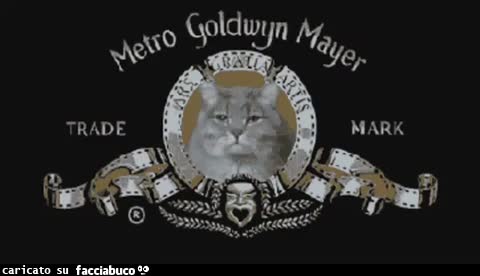 gif animata