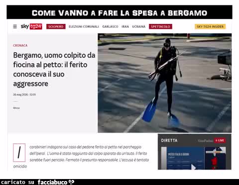 Gif Animata