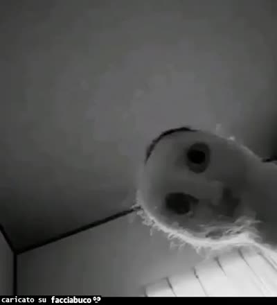 Mah