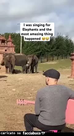 Gif Animata