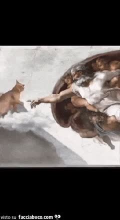 gif animata