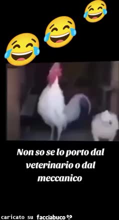 Gif Animata