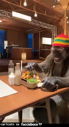 Gif Animata