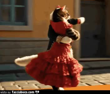 gif animata